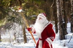 Резиденция Деда Мороза начнет работать в Могилеве 17 декабря
