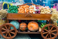 Могилевчан приглашают на осенние сельхозярмарки 4 и 5 октября