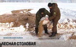 Лесники и фермеры приходят на помощь лесным животным