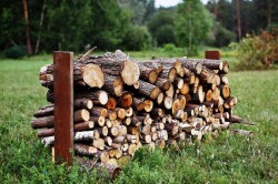 В лесхозах Могилевской области повысился спрос на дрова