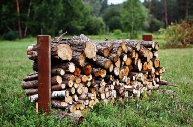 В лесхозах Могилевской области повысился спрос на дрова
