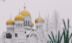 Расписание богослужений в праздник Рождества Христова в храмах Могилева и Могилевского района