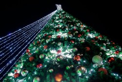 Молодежное шоу и включение огней на главной елке состоится 15 декабря