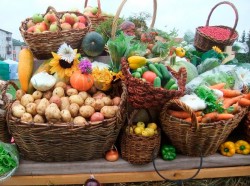 Горожан приглашают на сельскохозяйственные ярмарки 18 и 19 октября