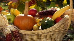 Сельскохозяйственные ярмарки и праздник урожая «Богач» пройдут в Могилеве 1-2 октября