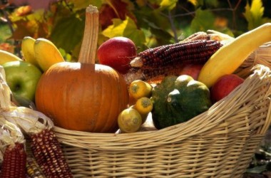 Сельскохозяйственные ярмарки и праздник урожая «Богач» пройдут в Могилеве 1-2 октября