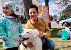 «Остров добра»: защитим бездомных животных вместе