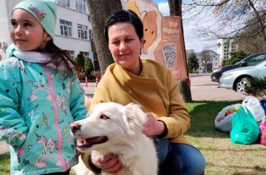 «Остров добра»: защитим бездомных животных вместе