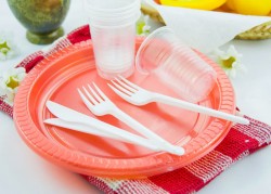 Использование одноразовой посуды в общепите запрещено  с 1 января 2021 года