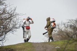 В каждом третьем случае нарушения санитарного содержания территорий выявила санэпидслужба