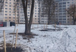 Новая зеленая зона появится в Могилеве в микрорайоне «Спутник»