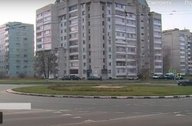 Вместо деревьев – пустота: прокуратура выявила нарушения в озеленении Могилева