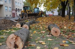 На улице Орловского в Могилеве появится новая парковка и обновленная проезжая часть
