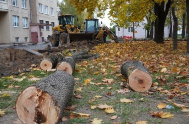 На улице Орловского в Могилеве появится новая парковка и обновленная проезжая часть