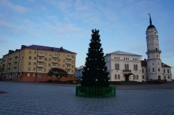 Новогодние елки начали устанавливать в Могилеве