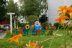 Могилевчане украшают дворы своих многоэтажных домов