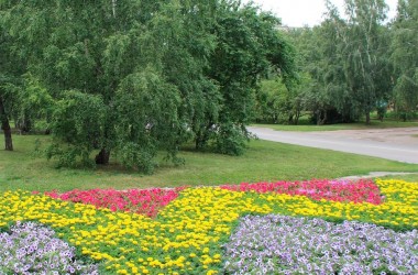 1 миллион 350 тысяч цветов планируют высадить в этом сезоне в Могилеве