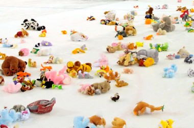 Могилевчан приглашают поучаствовать в «Мишкопаде»