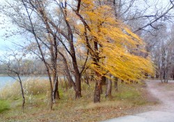 Из-за сильного ветра оранжевый уровень опасности объявлен в Беларуси 20 октября