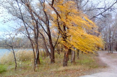 Из-за сильного ветра оранжевый уровень опасности объявлен в Беларуси 20 октября