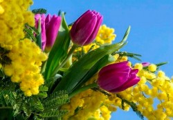 Во всех микрорайонах Могилева откроются цветочные ярмарки