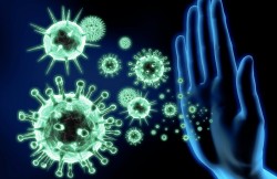 Ученые рассказали, сколько могут сохраняться антитела к коронавирусу
