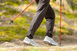 Парк в Подниколье станет площадкой для марафона по скандинавской ходьбе