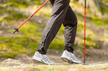 Парк в Подниколье станет площадкой для марафона по скандинавской ходьбе