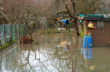 Весенний паводок: как защитить участок и куда звонить для откачки воды