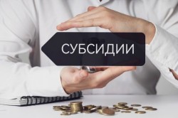 Размер госсубсидий для безработных на открытие бизнеса увеличится с 1 августа