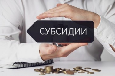 Размер госсубсидий для безработных на открытие бизнеса увеличится с 1 августа