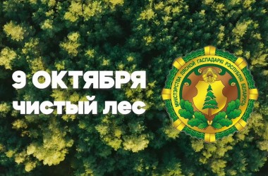 Могилевчан приглашают присоединиться к акции «Чистый лес»