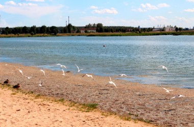 Специалисты по-прежнему не рекомендуют купаться в Могилевских водоемах
