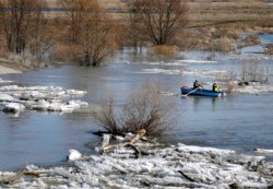 В Могилевской области сформированы сводные подразделения МЧС для реагирования в период паводков