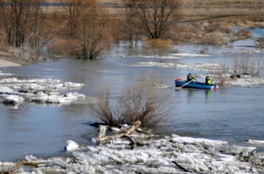 В Могилевской области сформированы сводные подразделения МЧС для реагирования в период паводков
