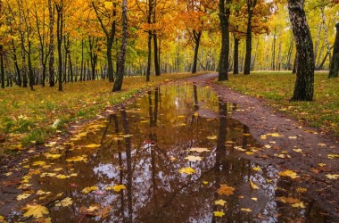 В воскресенье резко похолодает