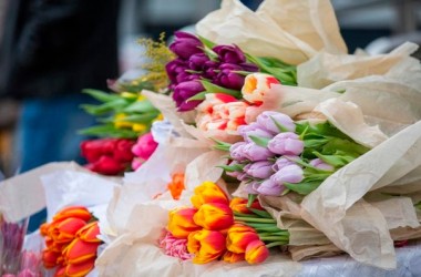 МНС информирует о правилах реализации живых цветов в преддверии 8 Марта