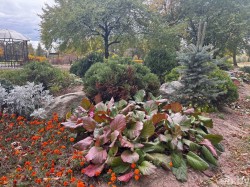 В Подниколье появляются розарий, лабиринт и домик садовника