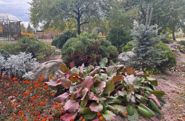 В Подниколье появляются розарий, лабиринт и домик садовника