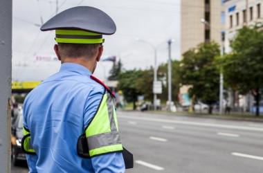 Единый день безопасности дорожного движения пройдет 29 июля