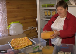 Крафтовые сыры изготавливают на Могилевщине (Видео)