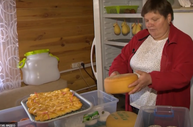 Крафтовые сыры изготавливают на Могилевщине (Видео)