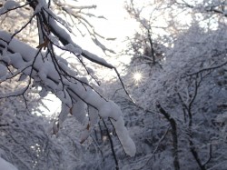 Календарная зима начнется с усиления морозов