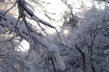 Календарная зима начнется с усиления морозов