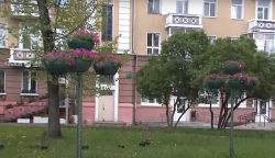 Могилев украшают цветами и кустарниками  (Видео)