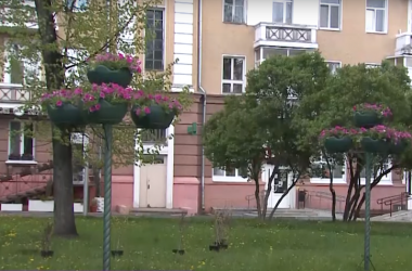 Могилев украшают цветами и кустарниками  (Видео)