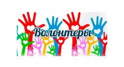 Кто, если не я? Как стать волонтером в Могилеве
