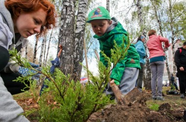 Могилевчан приглашают принять участие в исследовании проблем города