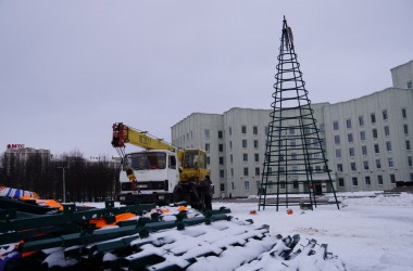 27 новогодних елок установят в Могилеве