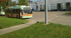 Дополнительные маршруты общественного транспорта организуют 3 июля
